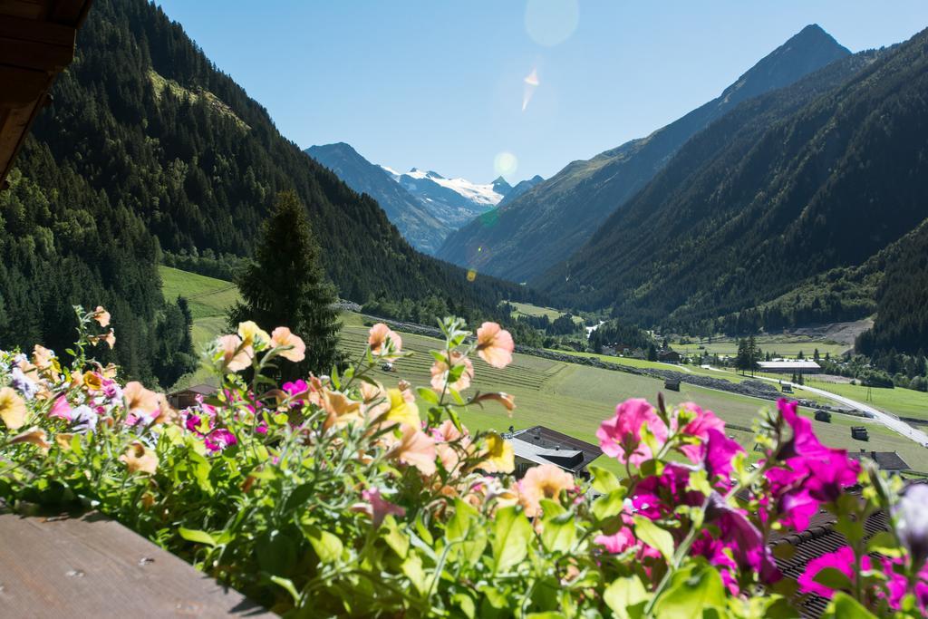 Haus Mary Apartment Neustift im Stubaital Exterior photo